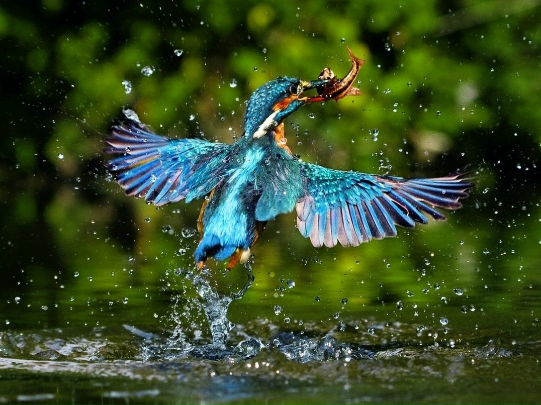 Дмитрий Щур фотография #9