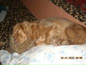 Игорь Горох фотография #7 (источник - https://vk.com/id6322143)