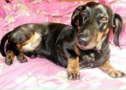 Фотография Малина Дмитрия