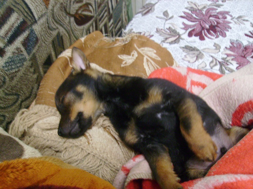 Натали Чепур фотография #39