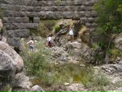 Леша Ионов фотография #37 (источник - https://vk.com/id899355)