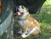 Фотография Немковой Валентины