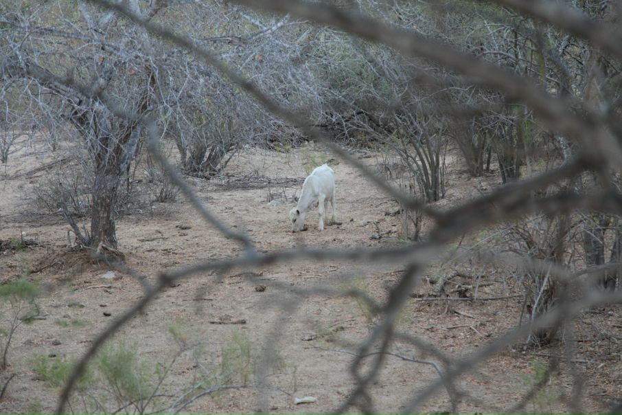 Джейн Эйр фото №3