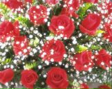 Фотография Субботиной Светланы