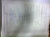 Анна Доценко фотография #5 (источник - https://vk.com/id837034)