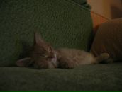 Леша Ионов фотография #36 (источник - https://vk.com/id899355)