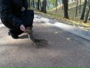 Фотография Елена Подгузова