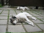 Фотография Кима Андрея