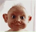 Фотография Гарина Павла