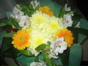 Фотография Андреевой Елены