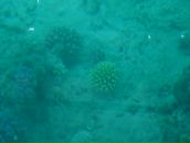 Антон Симаков фотография #41 (источник - https://vk.com/id917581)