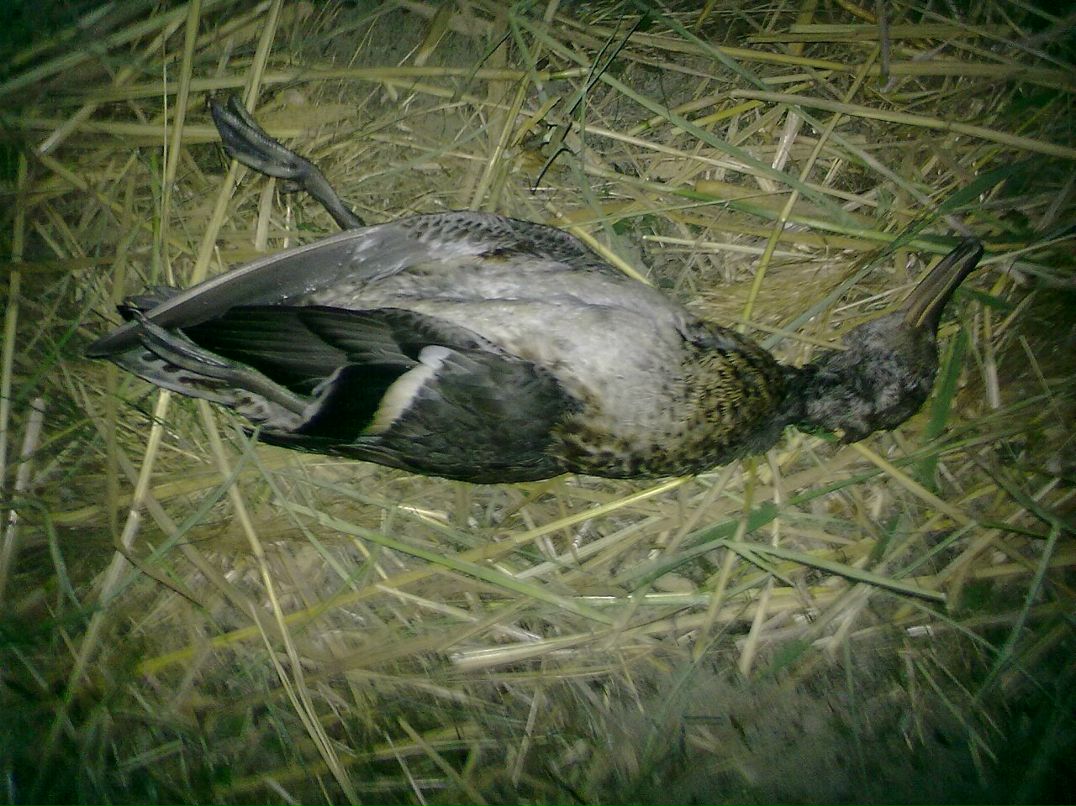 Дима Ивашкин фотография #46