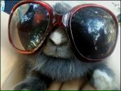 Фотография Карнакова Алато Карины