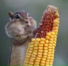 Фотография Машковой Татьяны