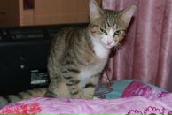 Фотография Кузнецова Valentin