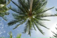 Фотография Аничковой Анны