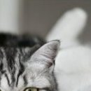 Наталія Олійник фотография #36 (источник - https://vk.com/id85387598)