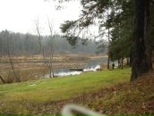 Фотография Ломоносовой Натальи