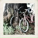 Фотография Бьёрн Краски Лепнины Янаса