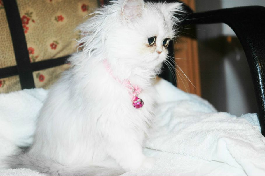 Eric Conde фото №26