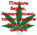 Вася Лендєл фотография #23 (источник - https://vk.com/id135606222)