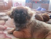 Маріна Бухарець фотография #33 (источник - https://vk.com/id162618046)