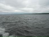 Рустем Адеев фотография #1