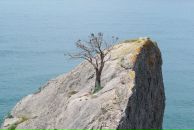 Фотография Чапыгиной Елены