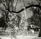 Фотография Кущ Светланы