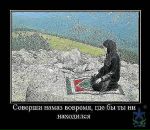 Фарид Мударрис фотография #42 (источник - https://vk.com/id90649712)