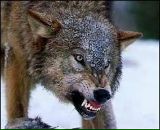 Андрій Данилів фотография #36 (источник - https://vk.com/id14294002)