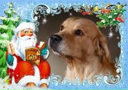 Фотография Вихровой Татьяны