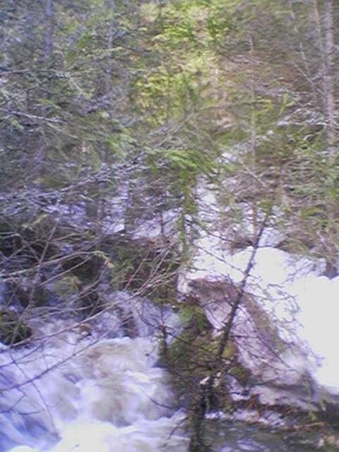 Егор Накоряков фотография #16