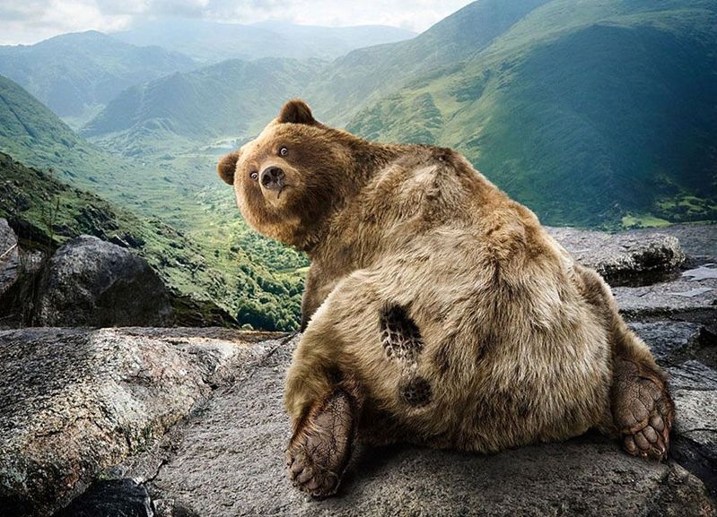 Дмитрий Бартасов фотография #30