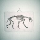 Фотография Коноплева Нина