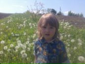 Сергій Краєвський фотография #5 (источник - https://vk.com/id150978248)