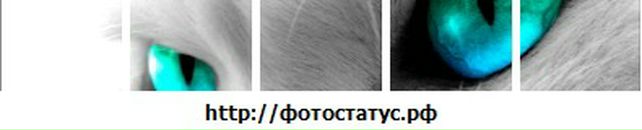 Ліна Болібрух фотография #44 (источник - https://vk.com/id64600387)