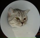 Фотография Перевозчиковой Полины