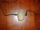 Фотография Новгородского Юрия