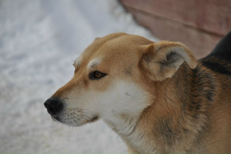 Дмитрий Голубев фотография #23