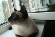 Фотография Павловой Надежды