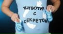 Фотография Юленька Асекретова