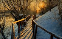 Фотография Потаповой Елены