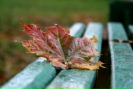 Фотография Михайловой Марины