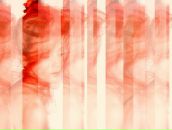 Фотография Рязанцевой Анастасии