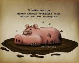 Фотография Якутович Саши