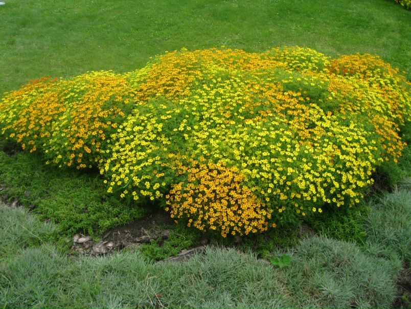 Николай Екименко фото №1