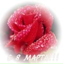 Ivars Cc фотография #14 (источник - https://vk.com/id127745864)