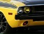 Ben Alter фотография #35 (источник - https://vk.com/id7563345)