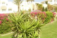 Фотография Жегловой Жанны